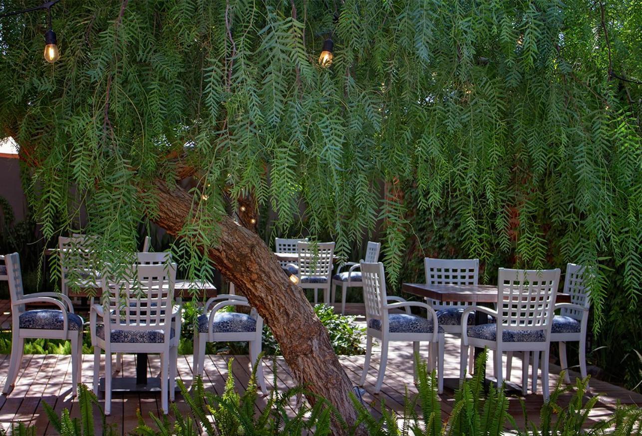 Alesia - Boutique Hotel & Spa Aguascalientes Esterno foto